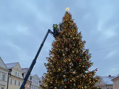 Fadíszítés kosaras emelőgéppel